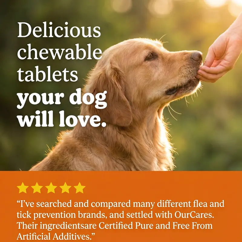 OURCARES Flea & Tick Prevention Support Chews for Dogs – Nutritional Supplement, Not a Treatment – 120Count, Plant-Based Chicken Flavor with Probiotics, Coconut Oil, Flaxseed & Fish Oil – For All Breeds and Ages